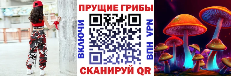 Галлюциногенные грибы ЛСД  Георгиевск 